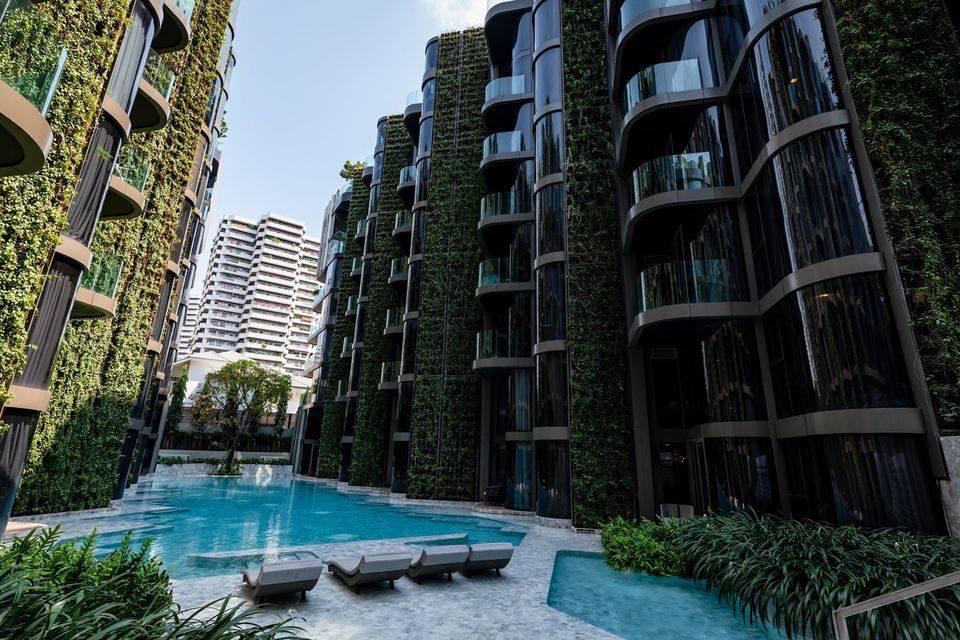 ให้เช่าคอนโด ASHTON RESIDENCE SUKHUMVIT 41 เลี้ยงสัตว์ได้ (รูปที่ 12)