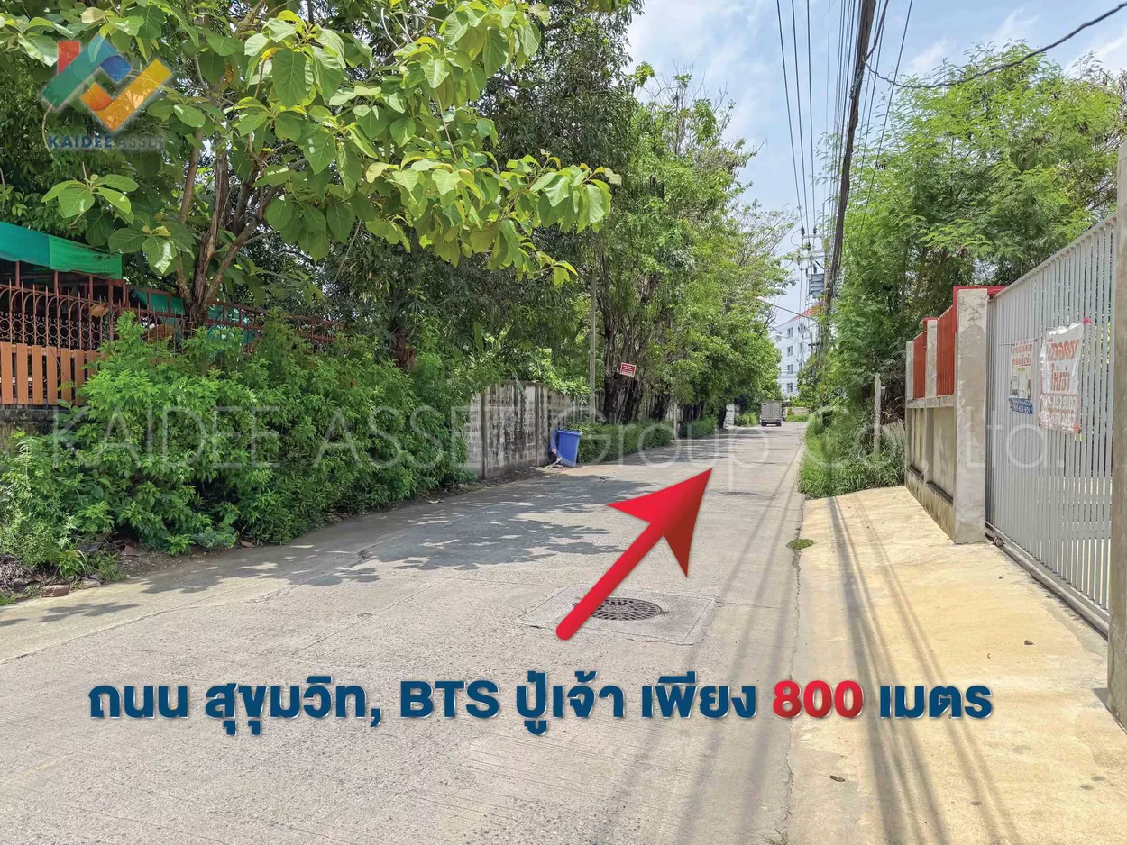 ที่ดิน ซอย สุขุมวิท 115 BTS ปู่เจ้า เทพารักษ์ สมุทรปราการ (รูปที่ 13)