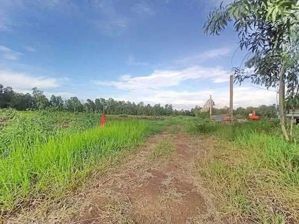 ที่ดินสวยราคาถูกโซนคลอง14 องครักษ์นครนายก-T.062-1574449 (รูปที่ 7)