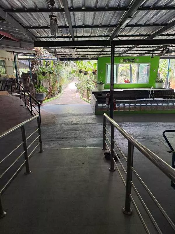 ขายบ้านเดี่ยว 1 ชั้น หมู่บ้านหนองสรวง อ.ศรีประจันต์ สุพรรณบุรี ใกล้โรงเรียน โรงพยาบาล ตลาด โทร 0869220218 (รูปที่ 5)