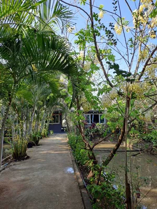 ขายบ้านเดี่ยว 1 ชั้น หมู่บ้านหนองสรวง อ.ศรีประจันต์ สุพรรณบุรี ใกล้โรงเรียน โรงพยาบาล ตลาด โทร 0869220218 (รูปที่ 17)