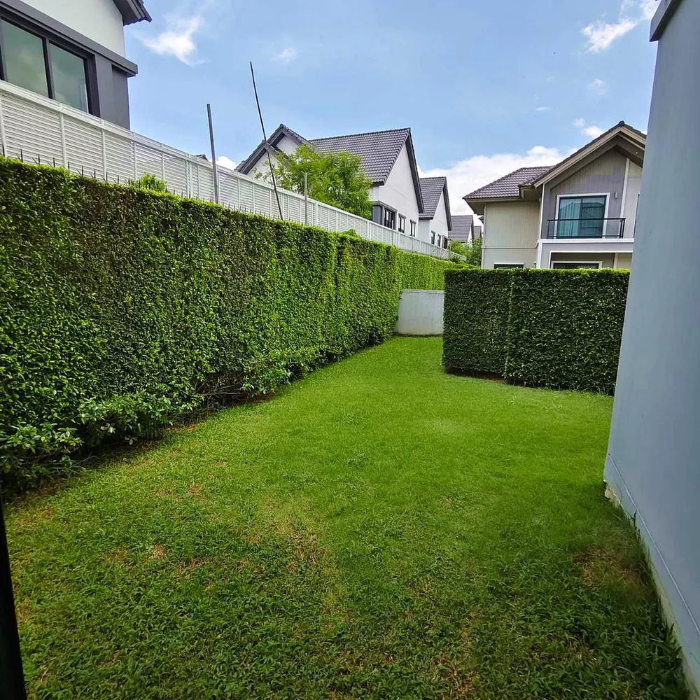 บ้านเดี่ยว อยู่ต้นหมู่บ้าน ในโครงการ เพฟ ปิ่นเกล้า–ศาลายา ถนนอัจฉริยะพัฒนา บ้านสวย พร้อมอยู่ ใกล้มหาวิทยาลัยมหิดล (รูปที่ 29)