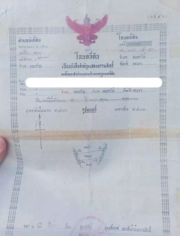 ขายด่วน...ที่นา อ.ดอกคำใต้ จ.พะเยา วิวเขา มีน้ำตลอดปี อากาศดีมาก ฮวงจุ้ยดี โทร 099-1961001 (รูปที่ 9)