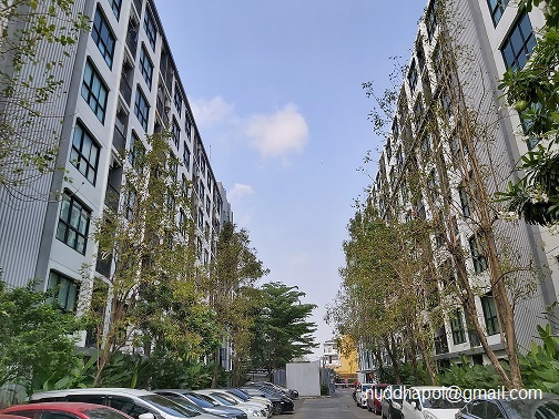 ขาย คอนโด บี ยู โชคชัย 4 ตึก B ชั้น 1 วิวสวน พร้อมอยู่ (Sell Be You Chokchai 4 Condo Floor1, Garden View, Ready to move in) (รูปที่ 5)