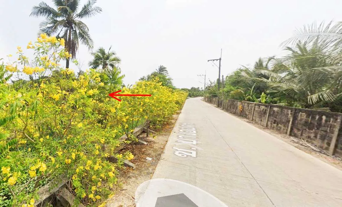 ขายที่ดินติดคลอง นครชัยศรี – ราคาพิเศษ (รูปที่ 3)