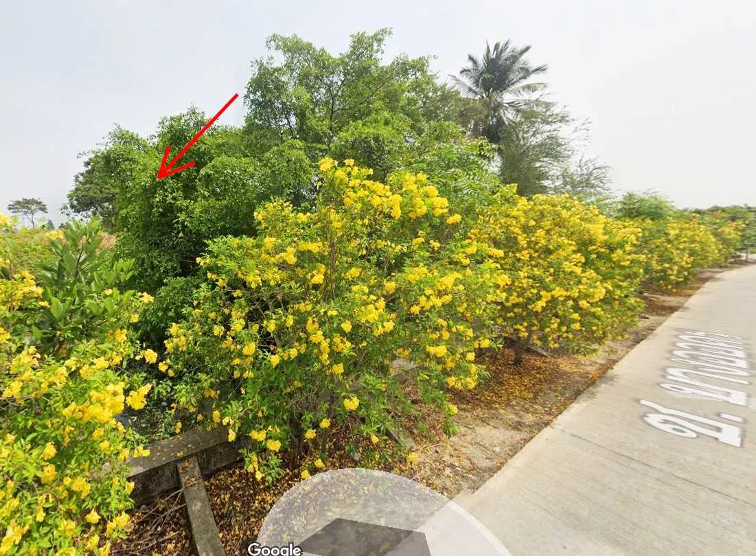 ขายที่ดินติดคลอง นครชัยศรี – ราคาพิเศษ (รูปที่ 5)