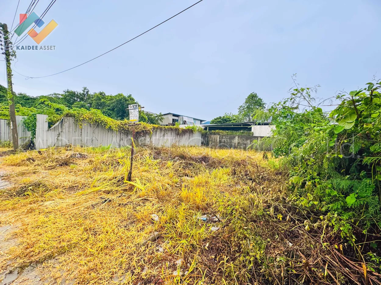 ที่ดิน บางแวก – พุทธมณฑลสาย 3 | หมู่บ้าน ชัชฎา วิลล่า (รูปที่ 4)