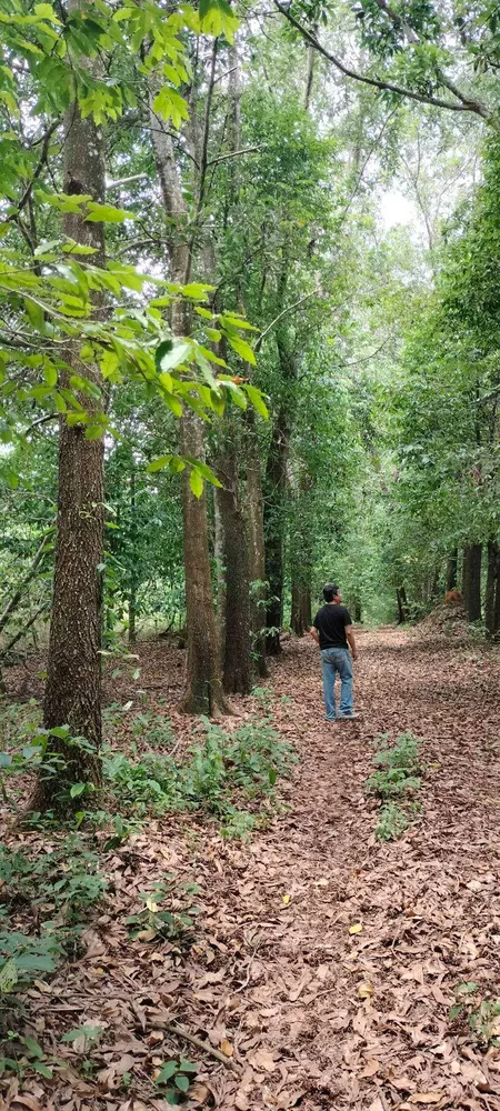 ที่ดินบ่อไร่ ตราด 103 ไร่ (รูปที่ 2)