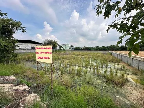 ขายที่ดิน 263 ตรว. พร้อมถมดินให้ ซอยวัดพูนพิมลราช ต.พิมลราช อ.บางบัวทอง จ.นนทบุรี โทร 088-899-8965 (รูปที่ 9)