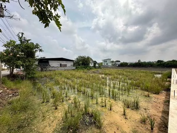 ขายที่ดิน 263 ตรว. พร้อมถมดินให้ ซอยวัดพูนพิมลราช ต.พิมลราช อ.บางบัวทอง จ.นนทบุรี โทร 088-899-8965 (รูปที่ 3)