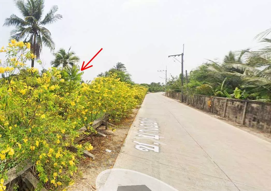 ที่ดินนครชัยศรี จ.นครปฐม (รูปที่ 5)