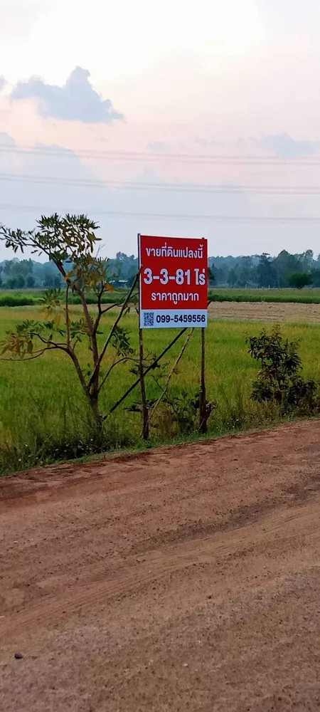ที่ดินต.สีแก้ว อ.เมืองร้อยเอ็ด จ.ร้อยเอ็ด