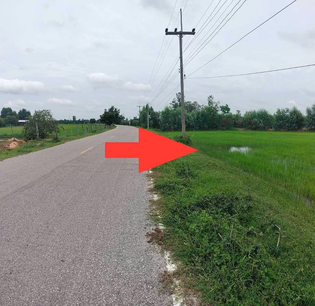 ที่ดินบ้านส้มโฮง ต.หินกอง อ.สุวรรณภูมิ จ.ร้อยเอ็ด (รูปที่ 4)