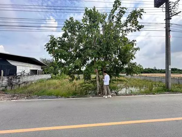 ขายที่ดิน บางบัวทอง จ.นนทบุรี เนื้อที่ 263 ตรว. พร้อมถมดินให้ ซอยวัดพูนพิมลราช โทร 088-8998965 (รูปที่ 5)