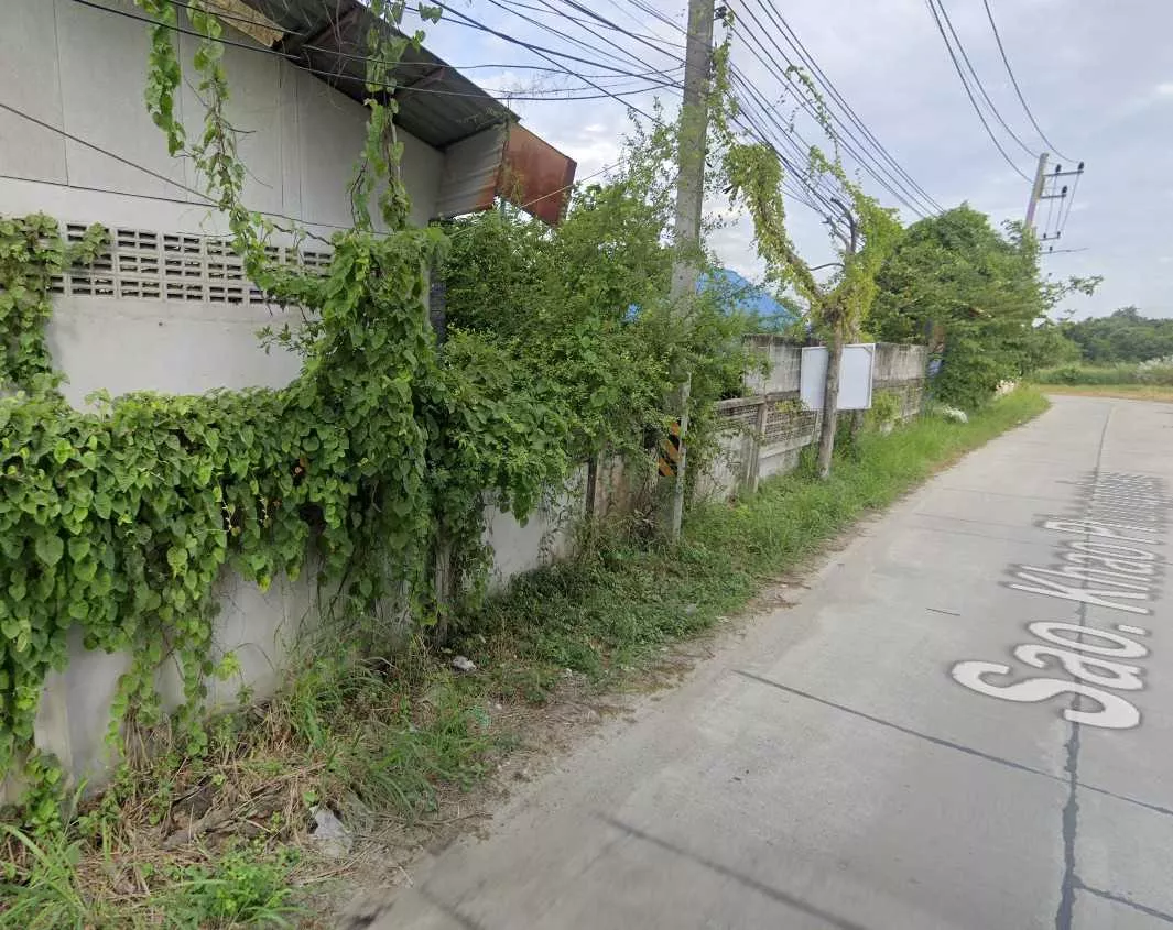 ที่ดินผังสีชมพู หนองข้างของ ชลบุรี (รูปที่ 6)