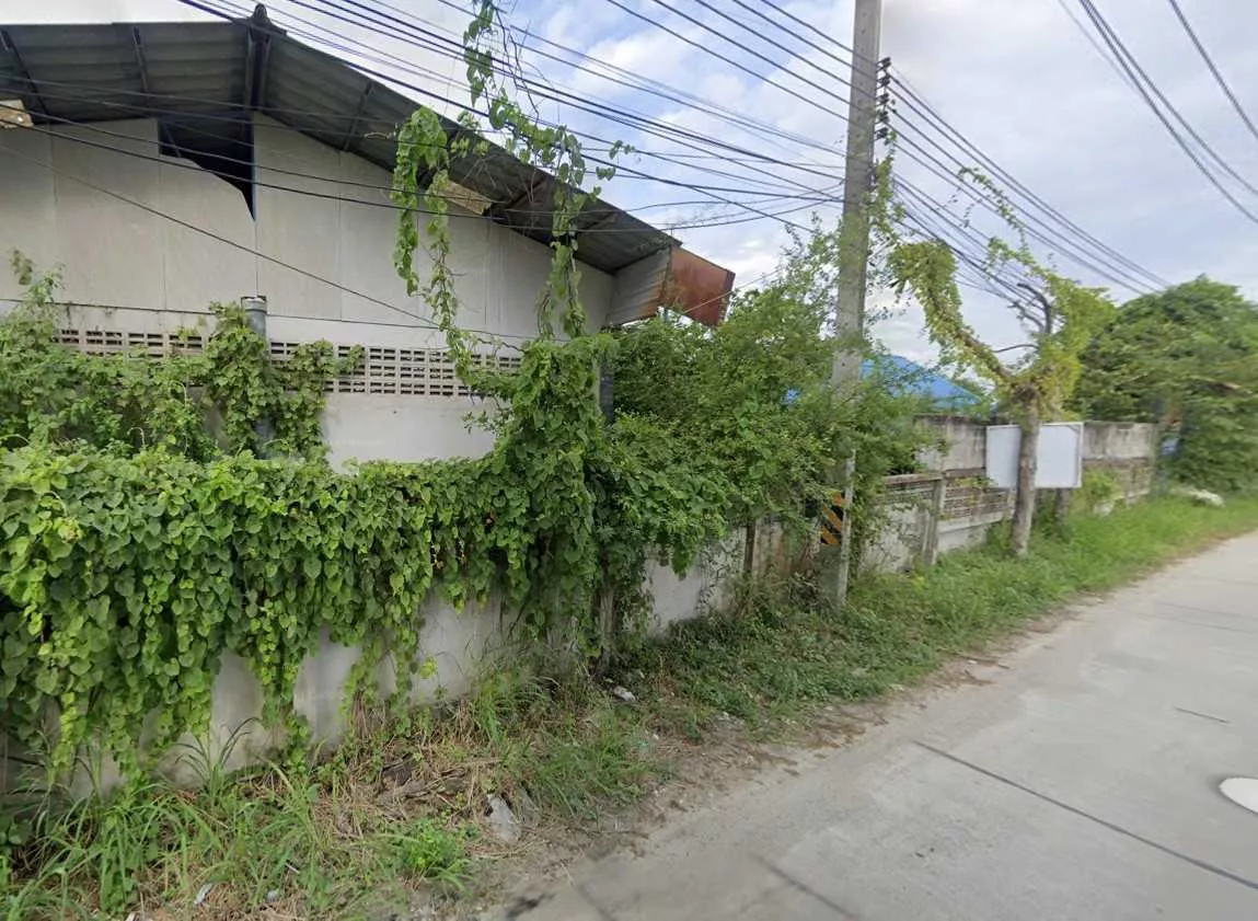 ที่ดินผังสีชมพู หนองข้างของ ชลบุรี (รูปที่ 5)