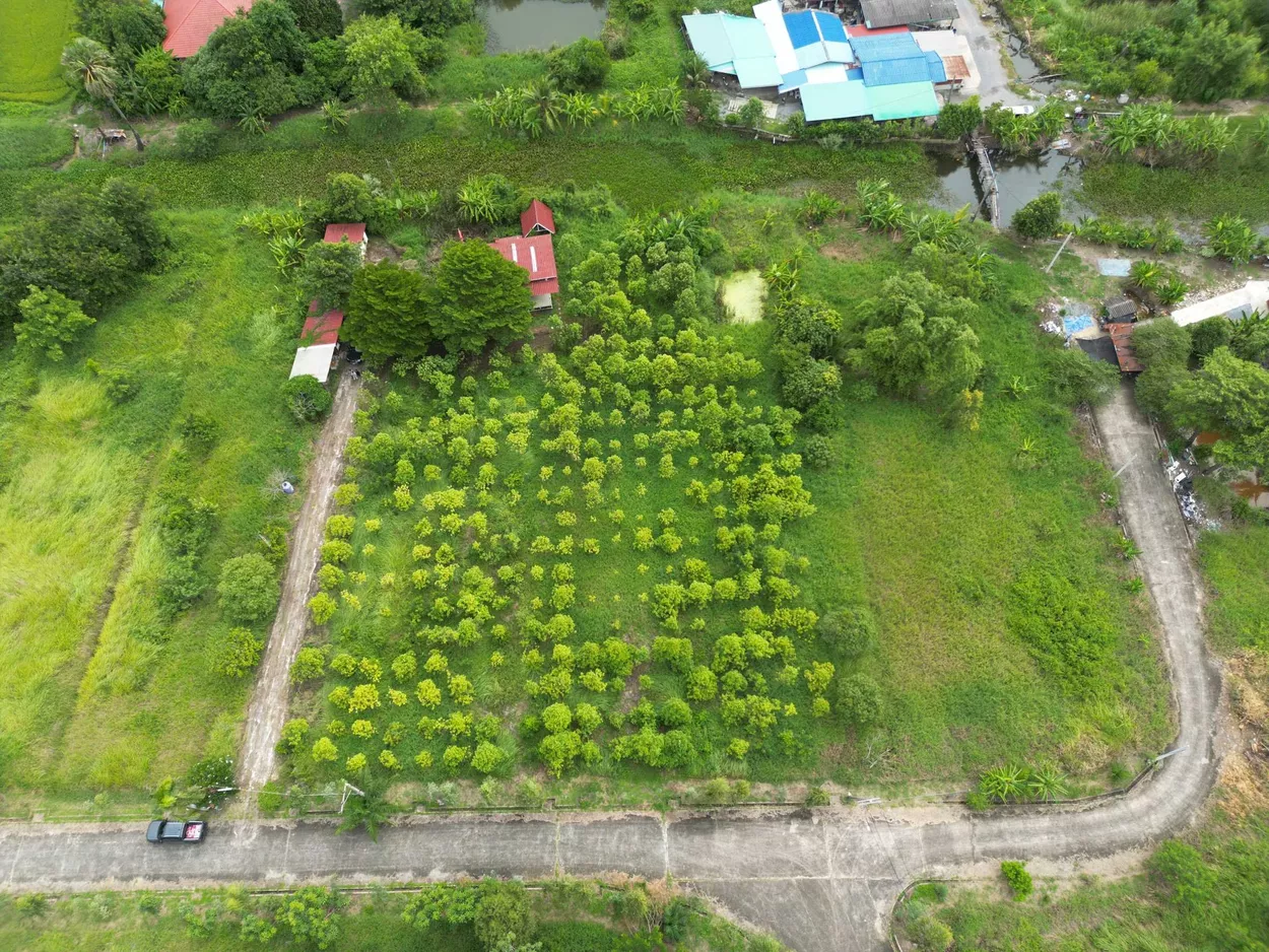 ที่ดินหนองจอก ติดคลองธรรมชาติ เนื้อที่ 2 ไร่ (รูปที่ 4)
