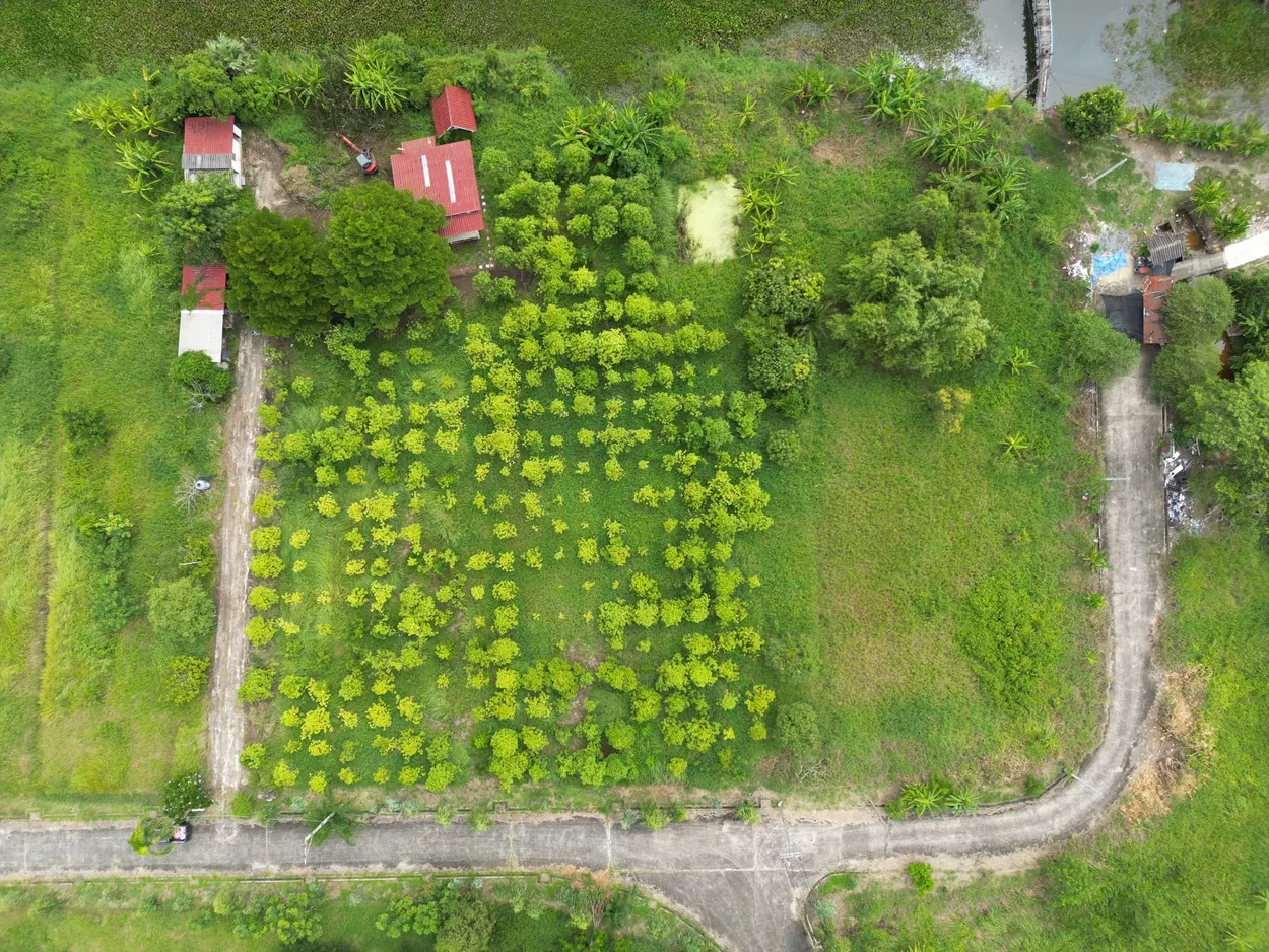 ที่ดินแปลงใหญ่ ใจกลางกรุงเทพฯ ติดคลองธรรมชาติ (รูปที่ 2)