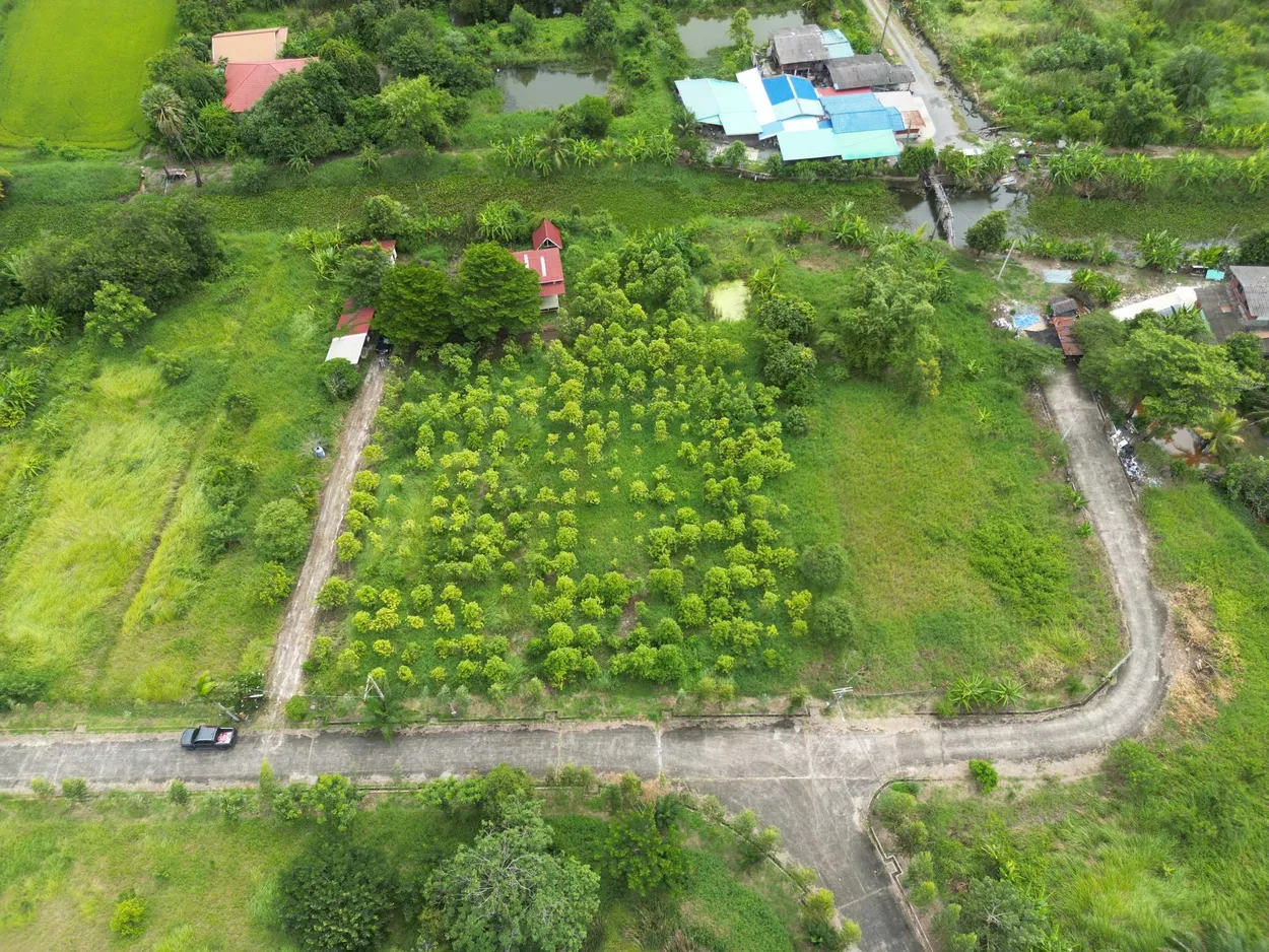 ที่ดินแปลงใหญ่ ใจกลางกรุงเทพฯ ติดคลองธรรมชาติ (รูปที่ 4)