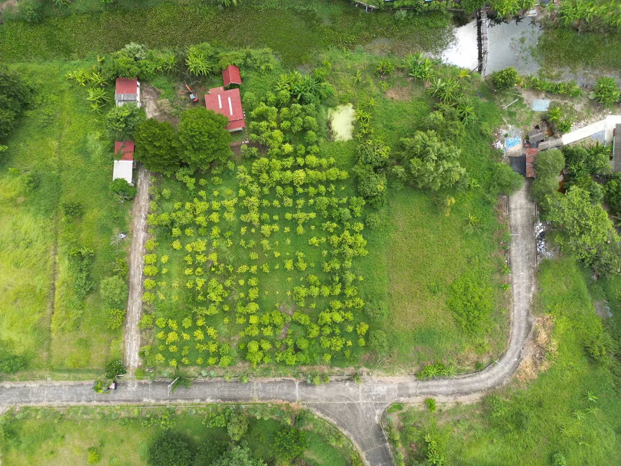 ที่ดินแปลงใหญ่ ใจกลางกรุงเทพฯ ติดคลองธรรมชาติ