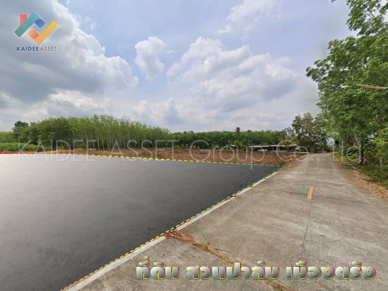 ที่ดิน โคกหล่อ เมืองตรัง ตรัง สวนปาล์ม ใกล้สนามบิน ราคาถูก (รูปที่ 2)
