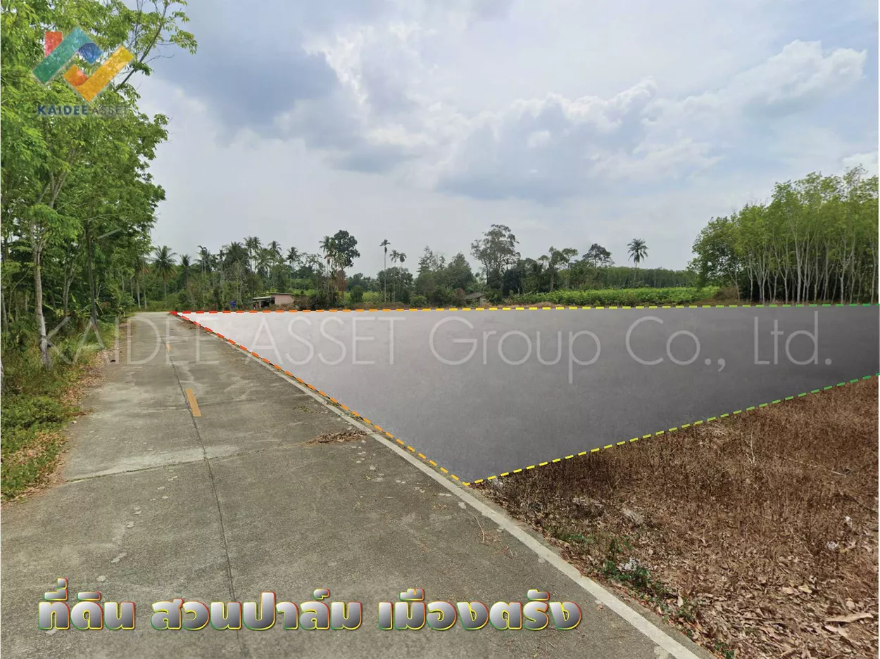 ที่ดิน โคกหล่อ เมืองตรัง ตรัง สวนปาล์ม ใกล้สนามบิน ราคาถูก (รูปที่ 3)