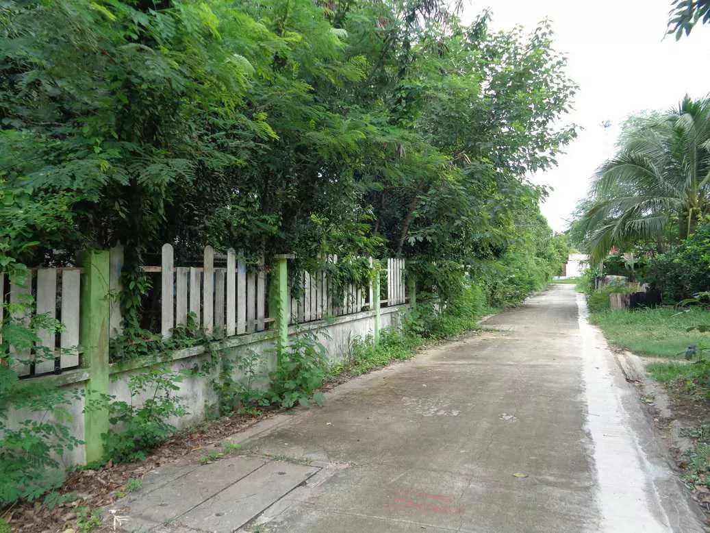 🚩 ขายที่ดิน 4 – 1 – 68 ไร่ ติดถนนท่ามะนาว ใกล้ที่ว่าการอำเภอชัยบาดาล ลพบุรี (รูปที่ 42)