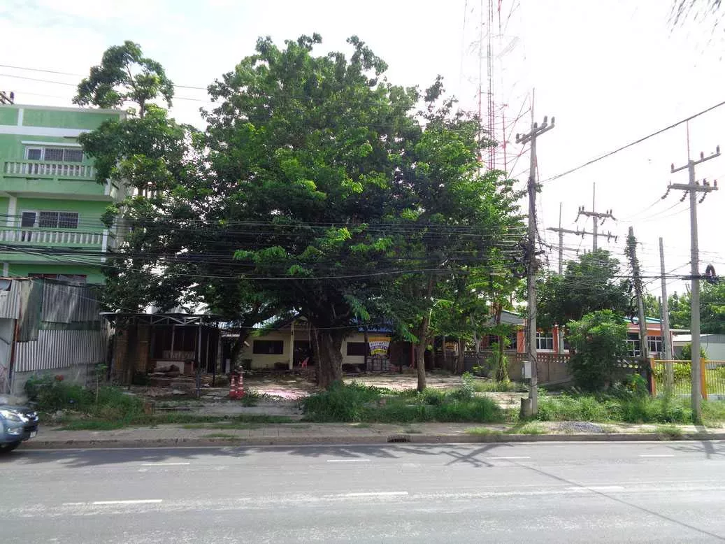🚩 ขายที่ดิน 4 – 1 – 68 ไร่ ติดถนนท่ามะนาว ใกล้ที่ว่าการอำเภอชัยบาดาล ลพบุรี (รูปที่ 19)
