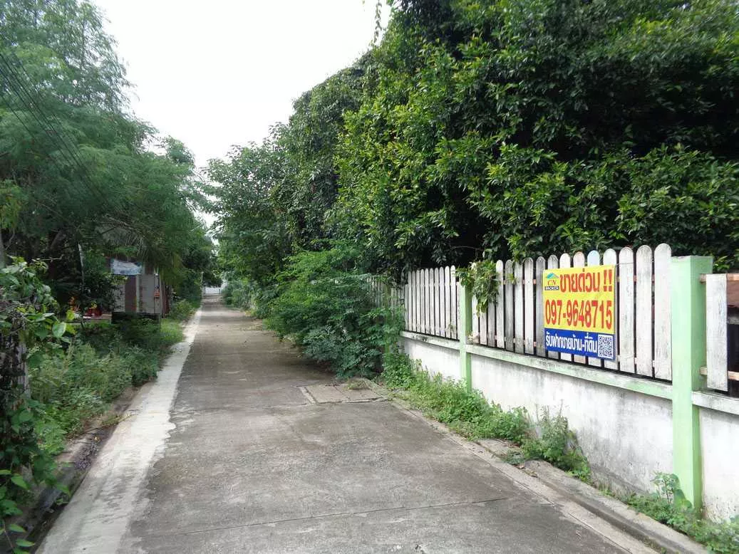 🚩 ขายที่ดิน 4 – 1 – 68 ไร่ ติดถนนท่ามะนาว ใกล้ที่ว่าการอำเภอชัยบาดาล ลพบุรี (รูปที่ 8)