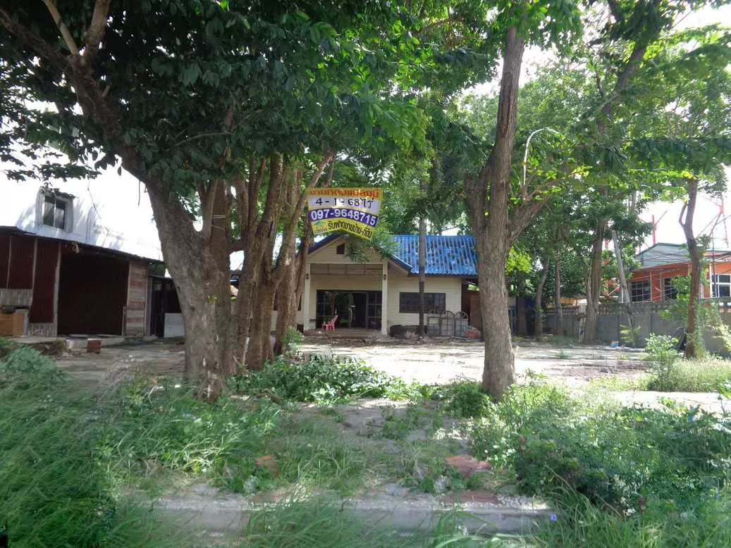🚩 ขายที่ดิน 4 – 1 – 68 ไร่ ติดถนนท่ามะนาว ใกล้ที่ว่าการอำเภอชัยบาดาล ลพบุรี (รูปที่ 36)