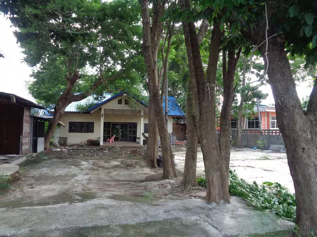 🚩 ขายที่ดิน 4 – 1 – 68 ไร่ ติดถนนท่ามะนาว ใกล้ที่ว่าการอำเภอชัยบาดาล ลพบุรี (รูปที่ 17)