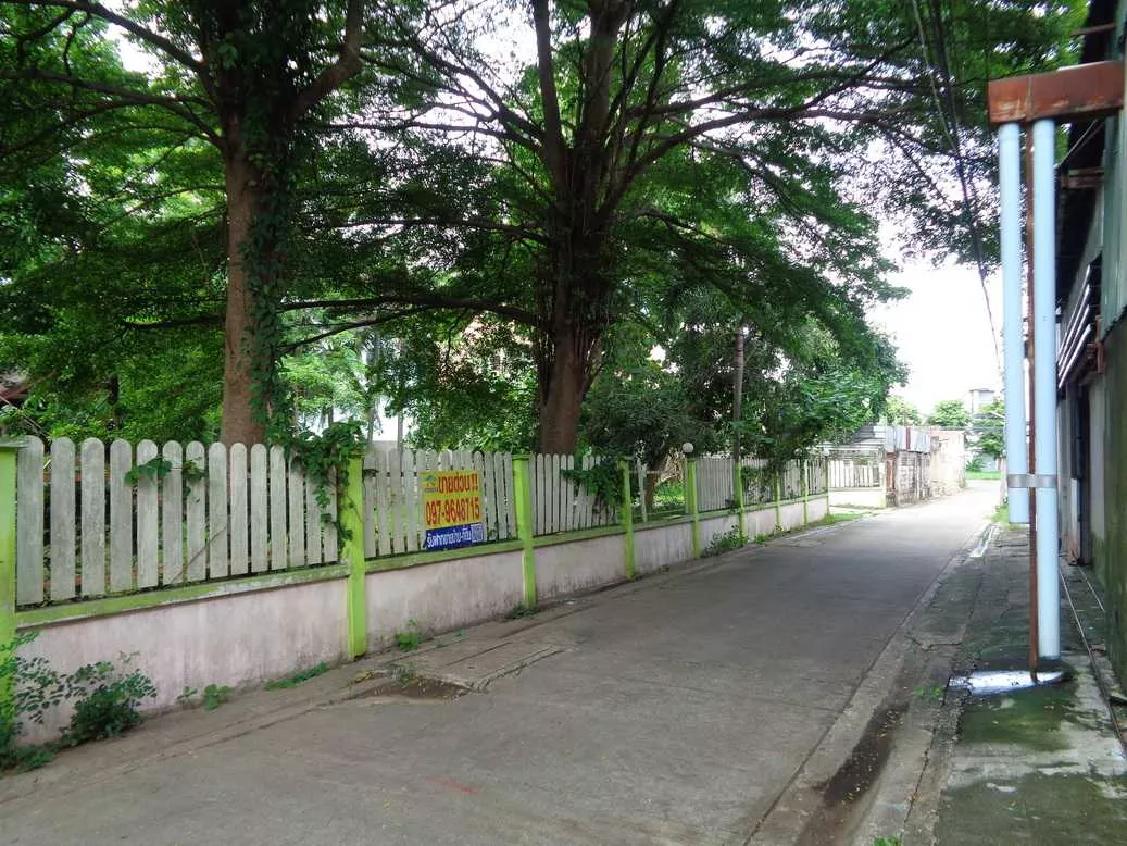 🚩 ขายที่ดิน 4 – 1 – 68 ไร่ ติดถนนท่ามะนาว ใกล้ที่ว่าการอำเภอชัยบาดาล ลพบุรี (รูปที่ 60)