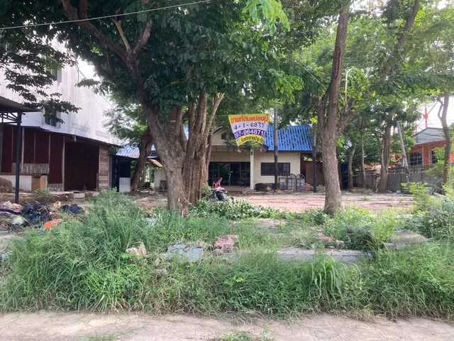 🚩 ขายที่ดิน 4 – 1 – 68 ไร่ ติดถนนท่ามะนาว ใกล้ที่ว่าการอำเภอชัยบาดาล ลพบุรี (รูปที่ 10)