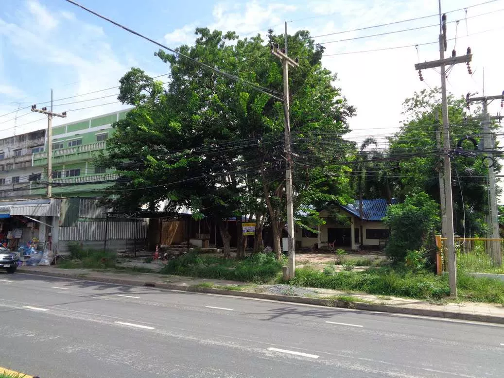 🚩 ขายที่ดิน 4 – 1 – 68 ไร่ ติดถนนท่ามะนาว ใกล้ที่ว่าการอำเภอชัยบาดาล ลพบุรี (รูปที่ 20)