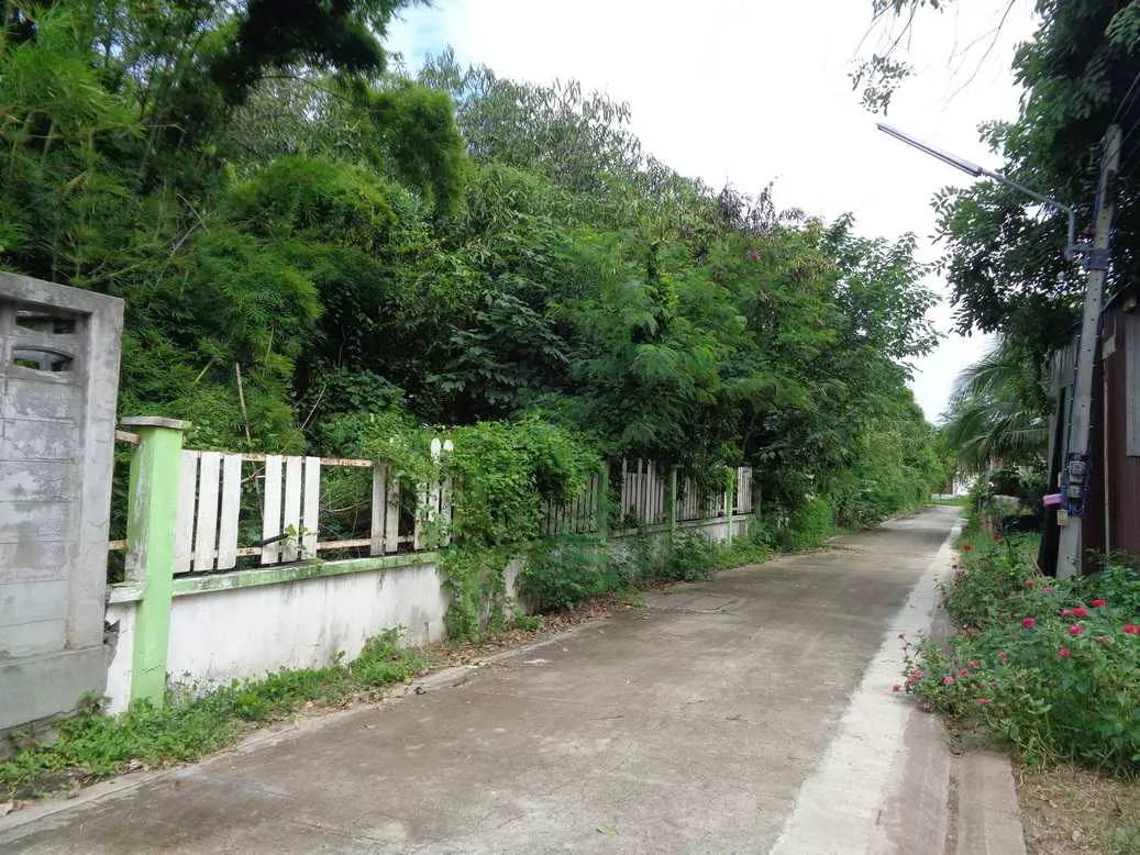 🚩 ขายที่ดิน 4 – 1 – 68 ไร่ ติดถนนท่ามะนาว ใกล้ที่ว่าการอำเภอชัยบาดาล ลพบุรี (รูปที่ 55)