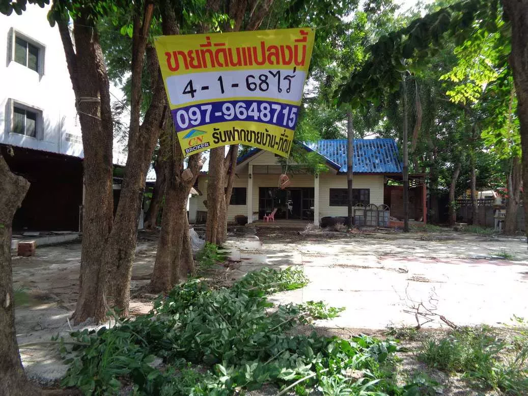 🚩 ขายที่ดิน 4 – 1 – 68 ไร่ ติดถนนท่ามะนาว ใกล้ที่ว่าการอำเภอชัยบาดาล ลพบุรี (รูปที่ 23)