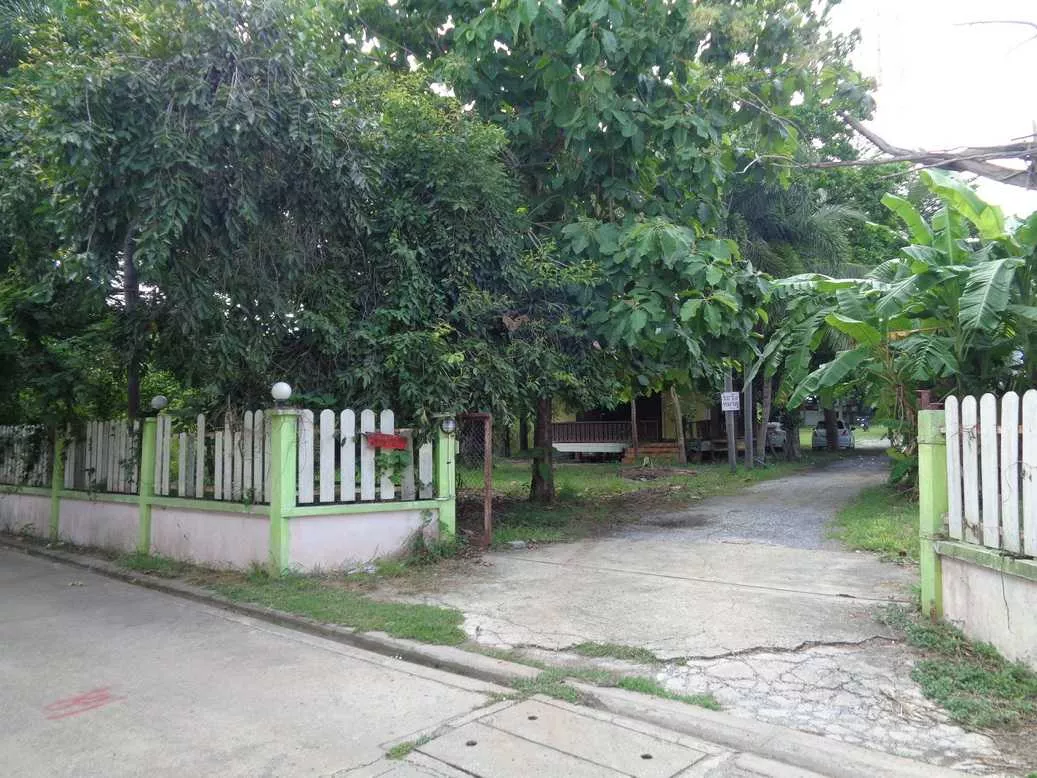 🚩 ขายที่ดิน 4 – 1 – 68 ไร่ ติดถนนท่ามะนาว ใกล้ที่ว่าการอำเภอชัยบาดาล ลพบุรี (รูปที่ 38)