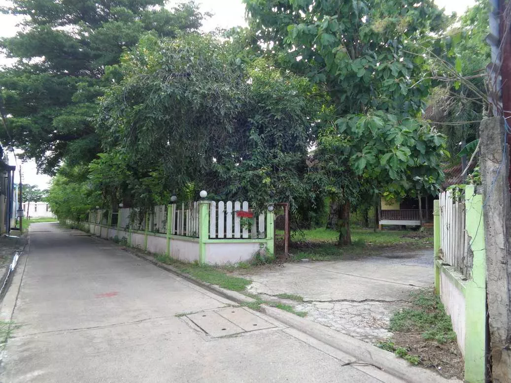 🚩 ขายที่ดิน 4 – 1 – 68 ไร่ ติดถนนท่ามะนาว ใกล้ที่ว่าการอำเภอชัยบาดาล ลพบุรี (รูปที่ 24)