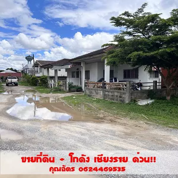 ขายที่ดินพาณิชย์ทองคำ ตรงข้ามวัดร่องขุน จ.เชียงราย ขนาด 5 ไร่ 6.8 ตารางวา โทร 062-446-9535 (รูปที่ 2)