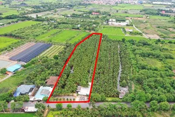 ขายที่ดินพร้อมสวนมะพร้าว 7 ไร่ 2 งาน 11 ตรว. บรรยากาศร่มรื่น สวยงาม เหมาะแก่การลงทุนระยะยาว โทร 088-2559999 เจ้าของขายเอง