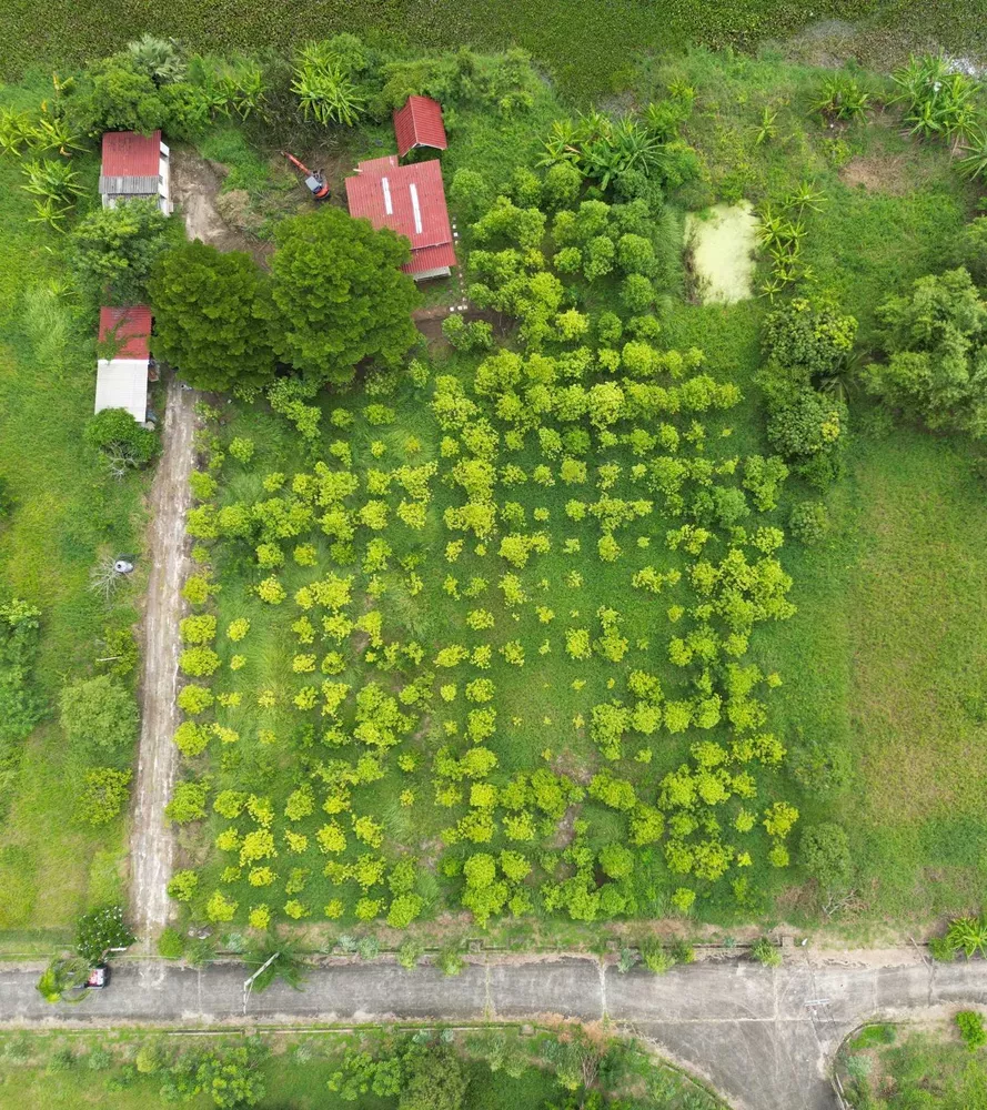 ขายที่ดิน 2 ไร่ 84 ตรว. ติดคลองธรรมชาติ – ใจกลางกรุงเทพฯ เขตหนองจอก (รูปที่ 5)