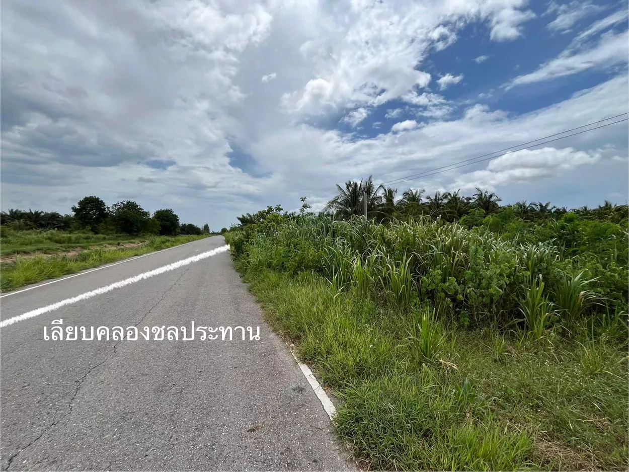 ขายที่ดิน อ.สามร้อยยอด ประจวบคีรีขันธ์ ด้านหน้าติดถนนทุ่งเคล็ด-บางหนองไทร ติดถนนเลียบคลองชลประทาน เนื้อที่ 11-1-32 ไร่ (รูปที่ 4)