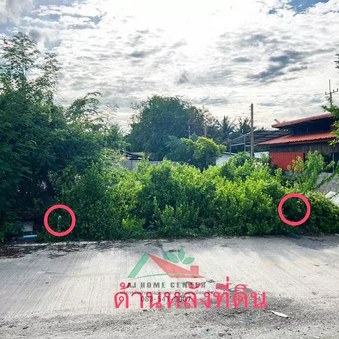 ขายถูก ที่ดินเปล่า60.4ตรว. 10x24ม. ใกล้ อบต.หลักสาม บ้านแพ้ว (รูปที่ 6)