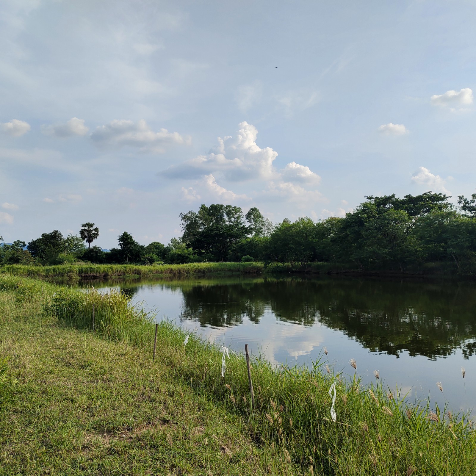 ที่ดินสวยราคาถูก ใกล้เขื่อนป่าสัก (รูปที่ 9)