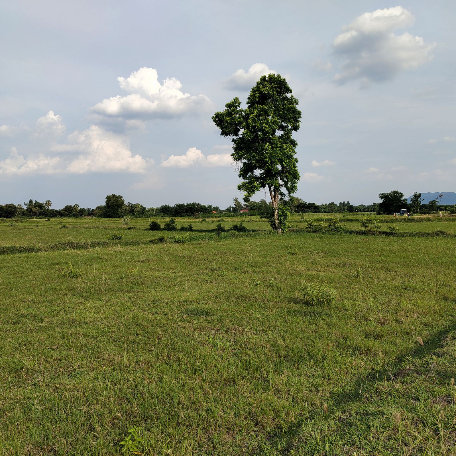 ที่ดินสวยราคาถูก ใกล้เขื่อนป่าสัก (รูปที่ 10)