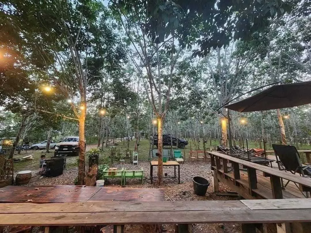 ขายที่ดินวิวสวย เชียงคาน จ.เลย (รูปที่ 5)