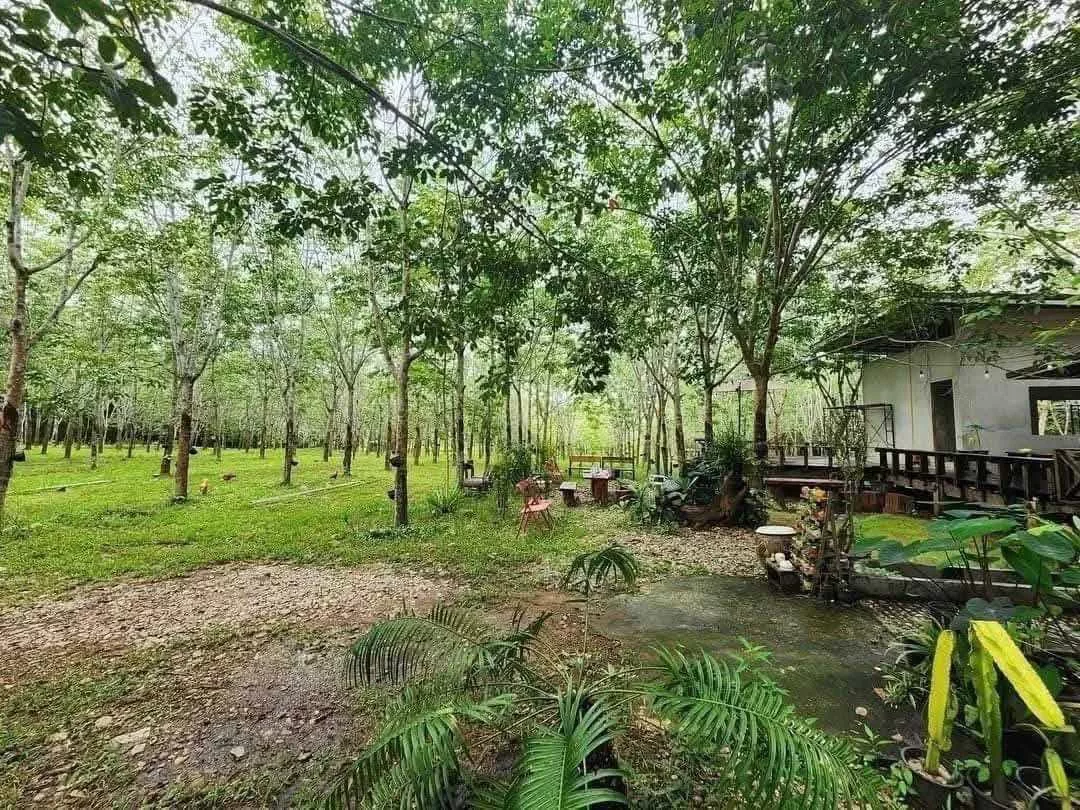 ขายที่ดินวิวสวย เชียงคาน จ.เลย (รูปที่ 7)