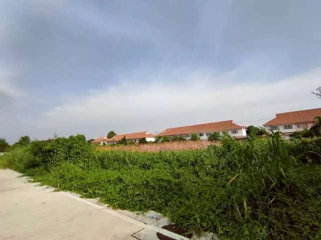 พื้นที่ดิน ที่ดินเปล่าบางพลี บางนา ใกล้สุวรรณภูมิ 42325000 บาท ใกล้กับ Mega Bangna, สนามบินสุวรรณภูมิ ดีที่สุดในย่าน (รูปที่ 2)