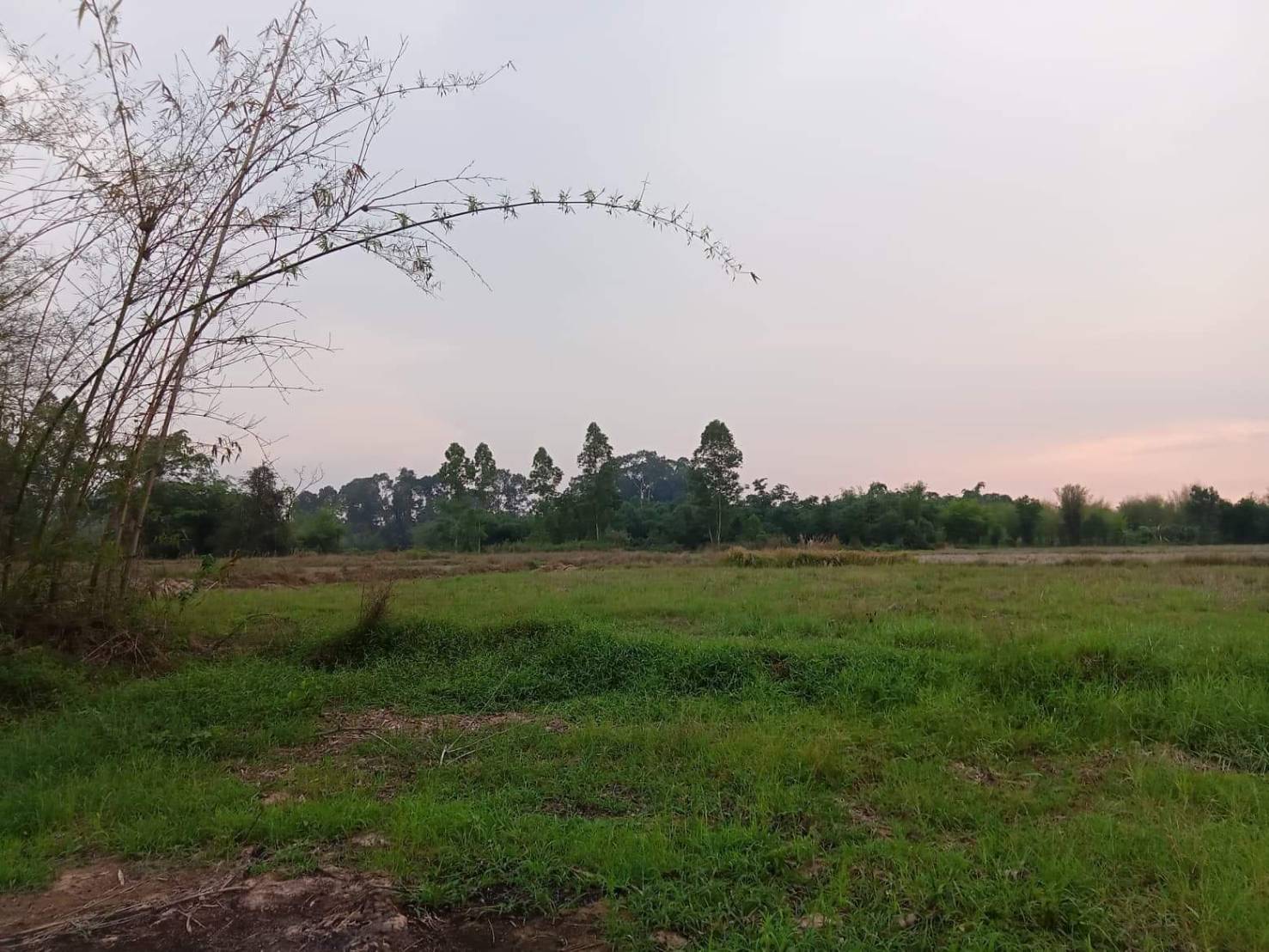 ที่ดินนครนายก ที่ดินแปลงสวยๆ?วิวเขา:ติดถนนลาดยางจ.นครนายก เนื้อที่10ไร่ 1งาน73ตรว.เหมาะสร้างบ้าน (รูปที่ 8)