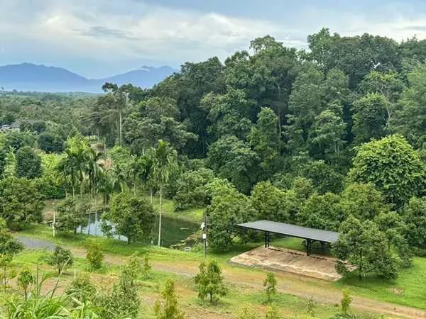 ขายสวนทุเรียน ขั้นบันได พร้อมบ้านตากอากาศ บนเขา พร้อมโฉนด! วิวหลักล้าน 11ไร่ อ.มะขาม จันทบุรี โทร 0830132000 (รูปที่ 5)